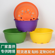 ����������Ͽظ��̨��̖�Ӂ��m����������m�p�ݸ߼��мӺ�����