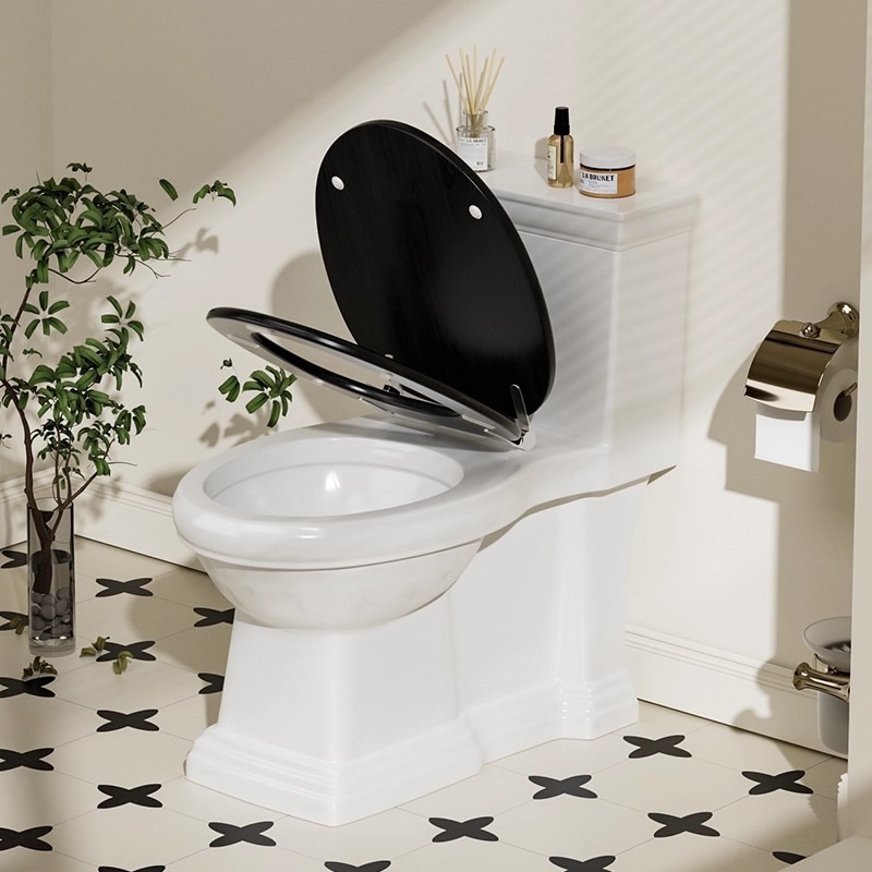 Europa y los Estados Unidos CUPC retrógrado francés inodoro doméstico europeo tipo sifón cerámico americano asiento de inodoro transfronterizo