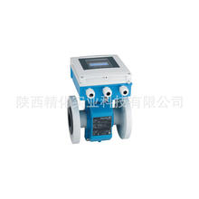 DN50 2Ӣ E+H늴Ӌ5L4C50-AALHP2AUD211A