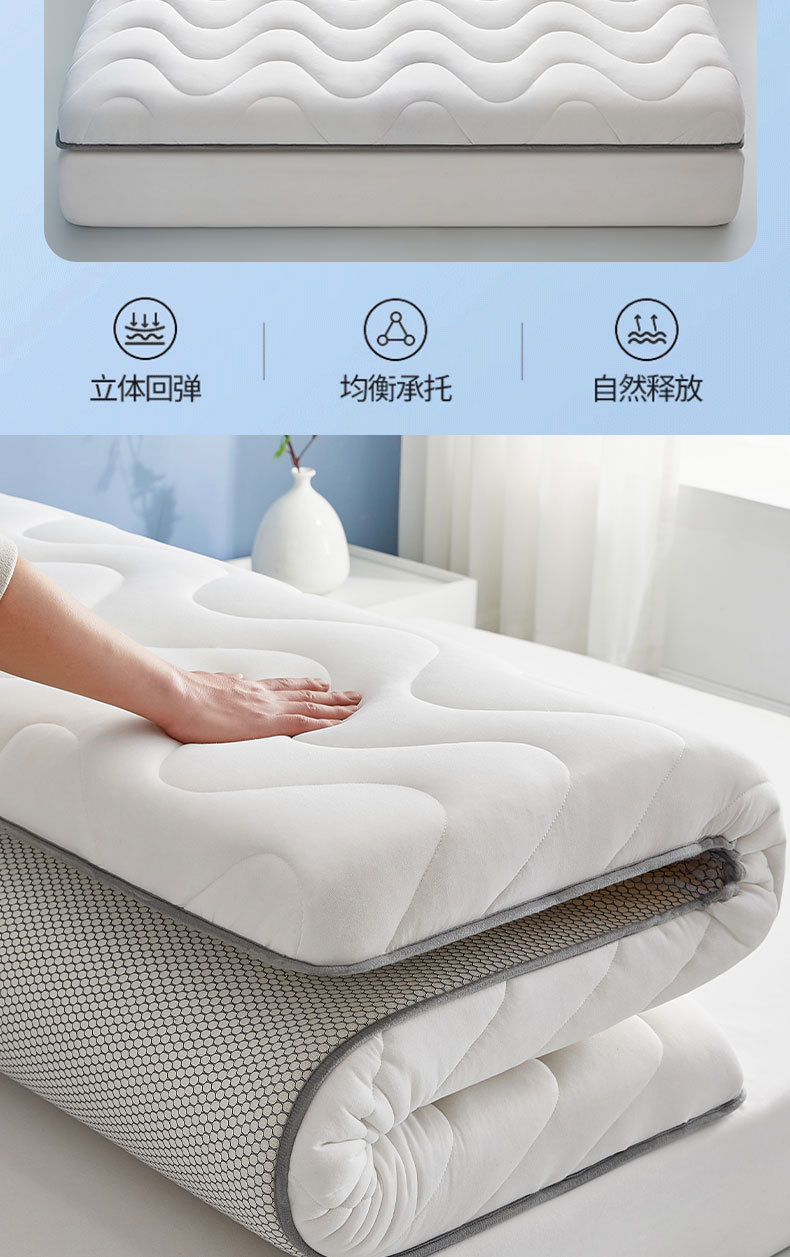 一键复制_20240815105844