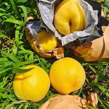 ���ۼ޽�2�갫���Ҙ��� ֲ�꽡�Ѹ�ϵ�l�_�����״��S�S����