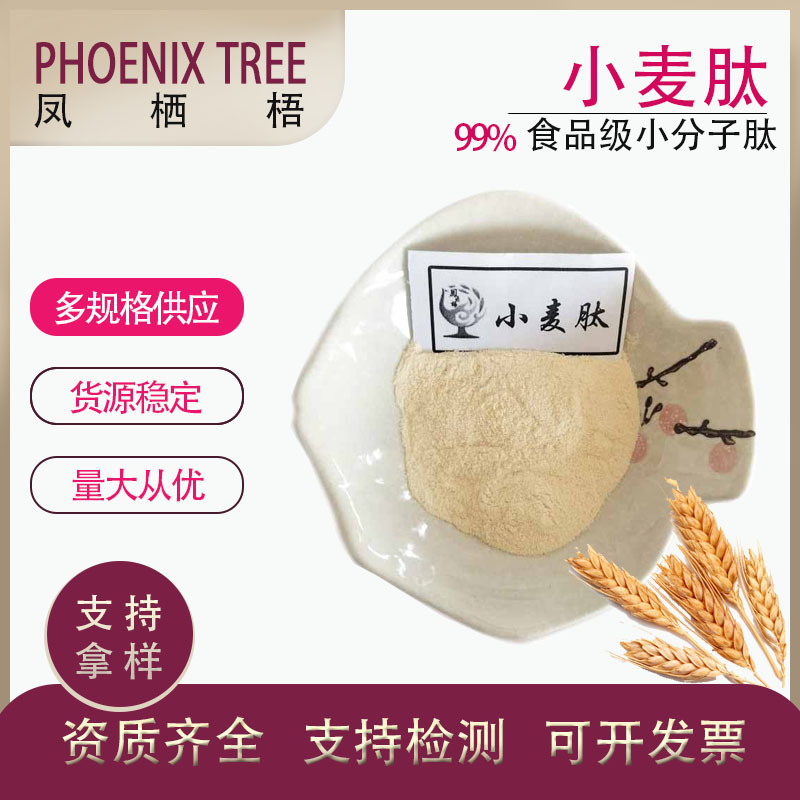 厂家食品级现货 水溶小麦低聚肽 植物小分子肽 小麦提取物 小麦肽