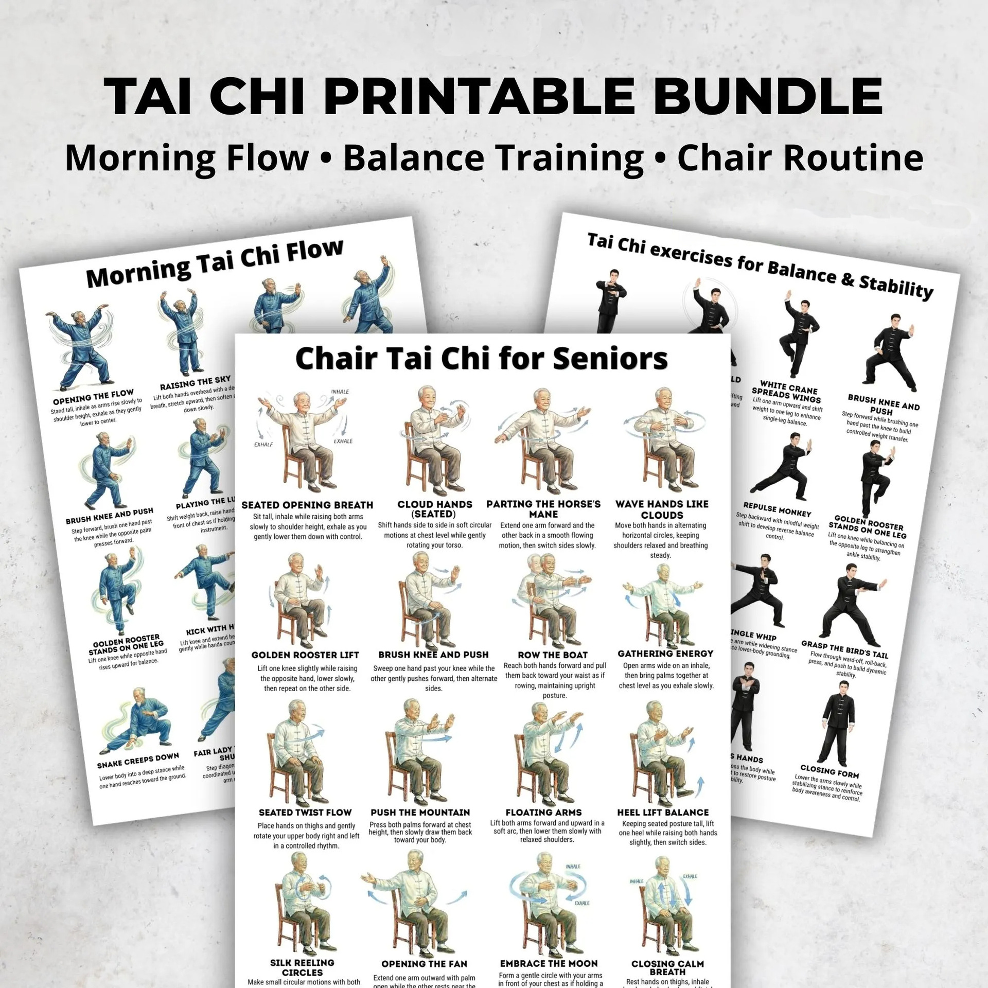 Morning Tai Chi training process