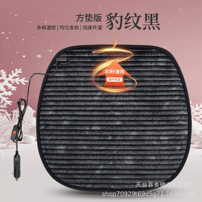 in winter, small square cushion, Multi-function pad - leopard-print-black-square-cushion