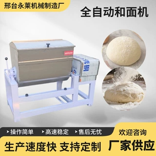 定制全自动不锈钢和面机商用电动搅面机揉面机大型肉馅拌馅搅拌机