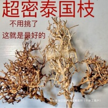 泰国枝造景泰国枝条沉木紫柚莫斯树杜鹃根鱼缸草缸按斤细枝条免煮