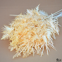 ��c�㙉ɫ���滨�ٻ��Ƶ��Ż���픻�Y�öY�ý���Ӱ��ɫϵ����