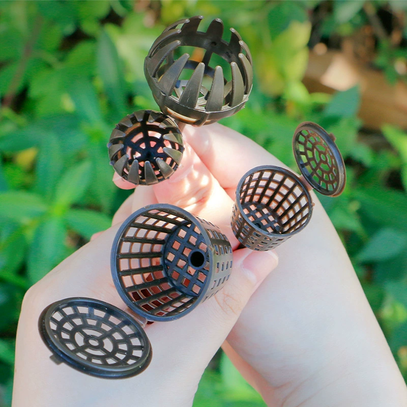 Коробка для нефритового удобрения Бонсай Коробка для удобрения Коробка для удобрения Коробка для удобрения Коробка для удобрения