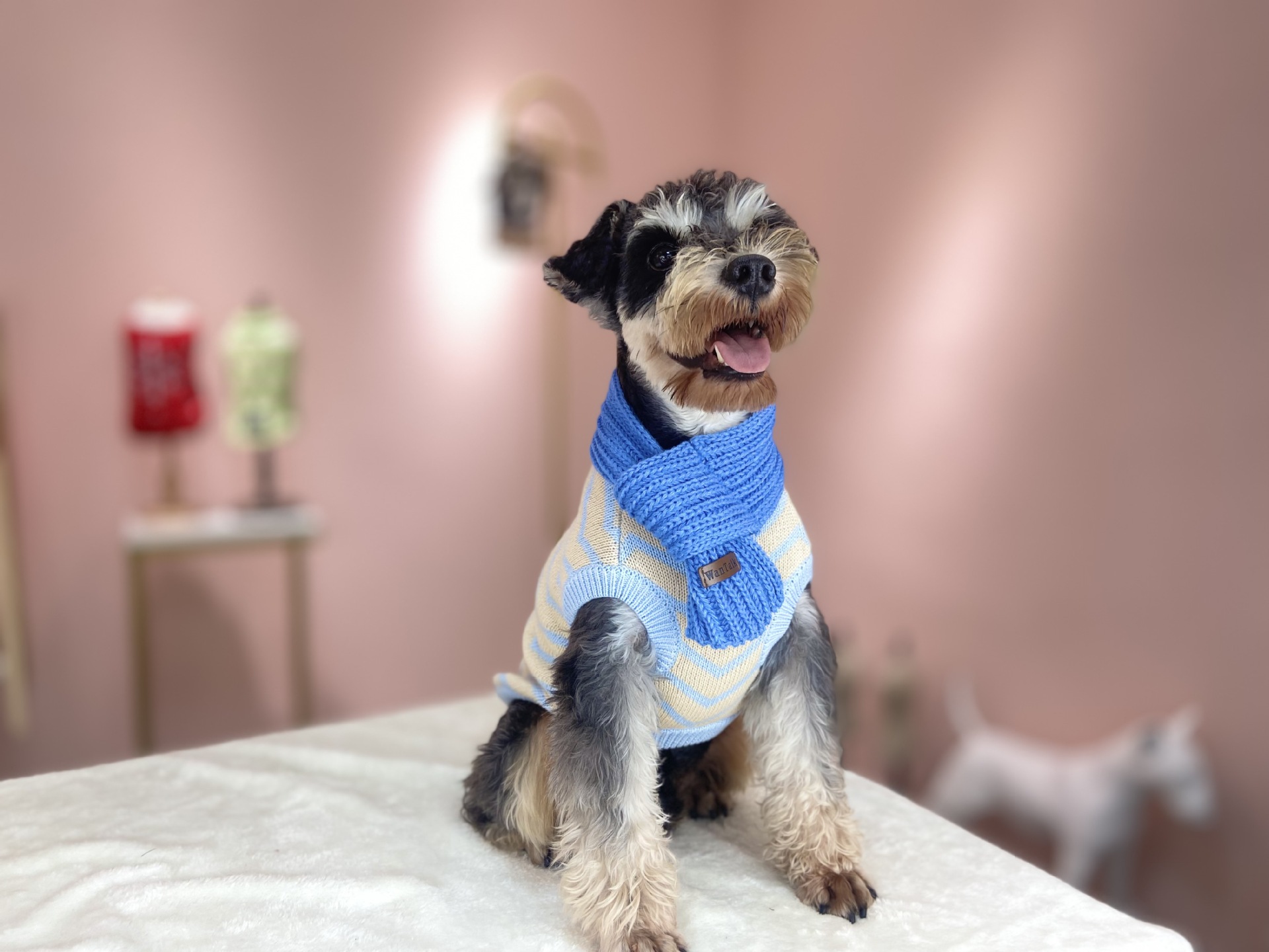 ﱣůΧڲʳ֯ΧιΧװƷ