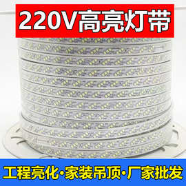 灯带LED客厅三色变光吊顶220V户外防水白光暖光工程亮化软灯带条