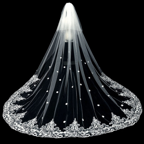 Bride Wedding Main Wedding Dress Veil Super Immortal Mori Korean Style Long Trailing High-end Lace Veil Accessories