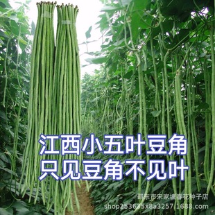 С���~��֦÷�L���ǷN�����~�͟ቺ�����L���ǷN�Ӵ���N�L��