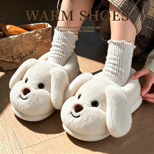 �ɐ�С������ЬŮʿ�����҃ȼҾ�2026�¿ů��ͯ�ӽq�Ӻ���Ь