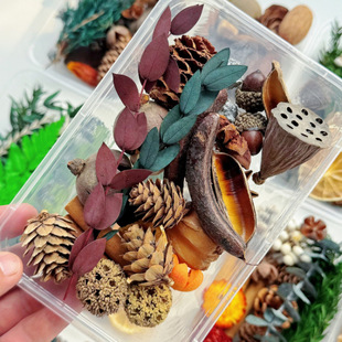 diyֲϰbֲɻ}Qɹ׃@ֹɭϵhb