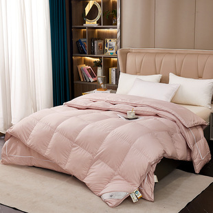 100S Soft Silk down Two-In-One Quilt with down and Silk Shell Semi-Finished Self-Filling Inner E18