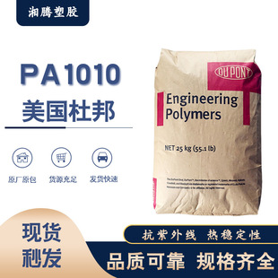 Pa1010 American Dupont Rs Lc1610 Bk385 Flame Retardant Grade, Good Heat Stability and Anti-Uv Raw Materials