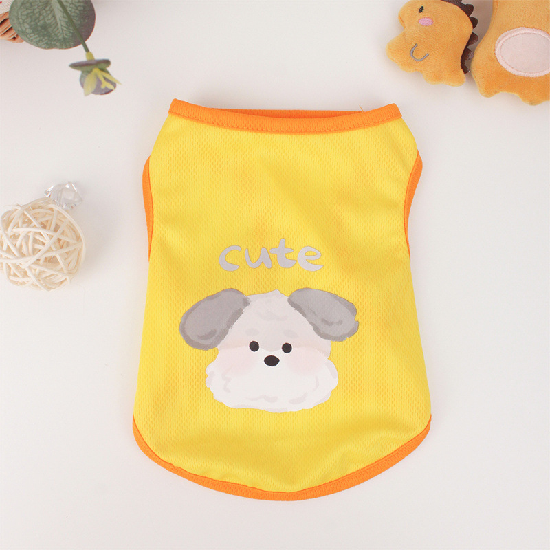 노란 고양이