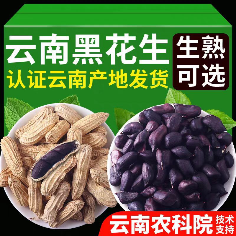New Crop of Black Peanuts from the Yunnan Academy of Agricultural Sciences, Raw with Shells or Roasted, Pu'Er Specialty, Rich in Selenium, Black-Skinned Peanuts Rich in Selenium New Crop of Black Peanuts from the Yunnan Academy of Agricultural Sciences, Raw with Shells or Roasted, Pu'Er Specialty, Rich in Selenium, Black-Skinned Peanuts Rich in Selenium