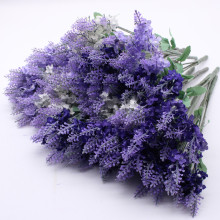 10�^޹�²ݷ��滨������˹޹�²���������������ֲ�����ԾGֲ����