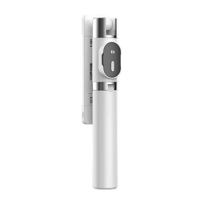 Travel fill light, handheld tripod, tubing, P60, bluetooth, remote control