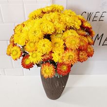 �ٻ����lϞ�������ոɻ��߲ʾ��r�ղ��}�ɫ�r�Gdiy�ɻ��b���