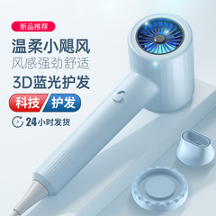 High-Speed High-Power Hair Dryer Amazon Cross-Border New Electric Hair Dryer Household Hotel Salon Constant Temperature Hair Dryer