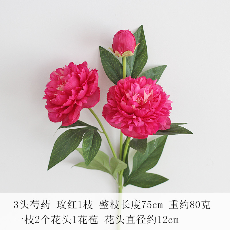 로즈 레드