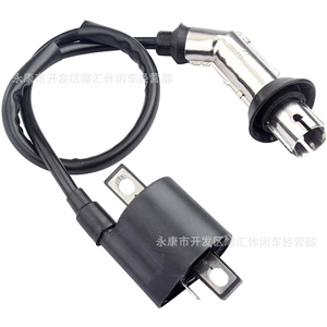 Gy6 Cg150 139Qmb Shineray 250Cc Xy250Stxe üçün yüksək gərginlikli alışdırma bobini