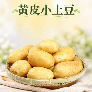 ������ʩ�SƤС���� ���l3/5/9���Ŵ�R����д���r�����r�߲�