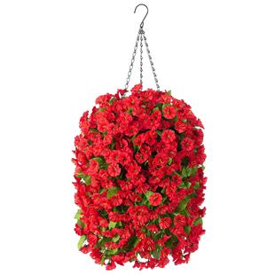 �羳�������N���滨���@ͥԺ¶̨��ţ���b���ڒ�ֲ���r�ռٻ�