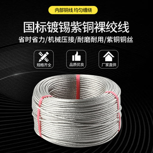 Home Decoration Tinned Copper Stranded Wire, Bare Copper Wire, Multi-Strand Pure Copper Soft Copper Stranded Wire, 1.0m Single-Strand Wire, High Conductivity Copper Wire