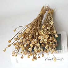 ���Ƹɻ�������  ��Ȼ�滨  �ɻ�diy����  �Ҿ��b� ���Sֱ�N���l