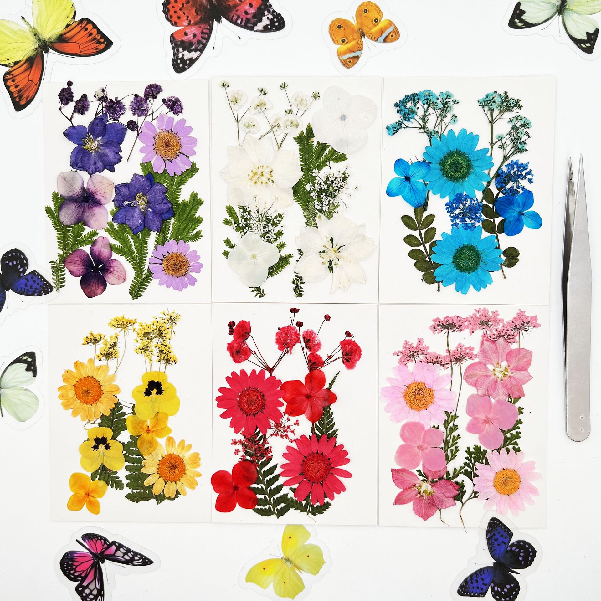 干花压花押花10朵组合包 美甲美妆材料 真花植物标本滴胶手工材料