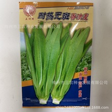 五洲牌耐热无斑香油麦菜种籽油麦菜蔬菜种子电商 厂家批发
