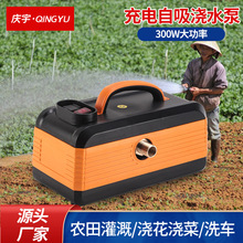 充电式抽水泵浇水高扬程雾化园林农田灌溉水泵深井自吸泵批发