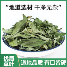 热卖忧遁草叶 500g克包邮 优遁草  黎王草鳄嘴花 优顿草茶 干货