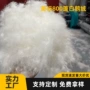制衣高清800羽绒羽绒