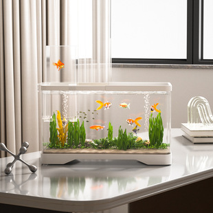 Hot-Selling Desktop Suspended Negative Pressure Cylinder Plastic Transparent Micro-Landscape Ornament Goldfish Tank Explosion-Proof Ecological Tank Turtle Tank