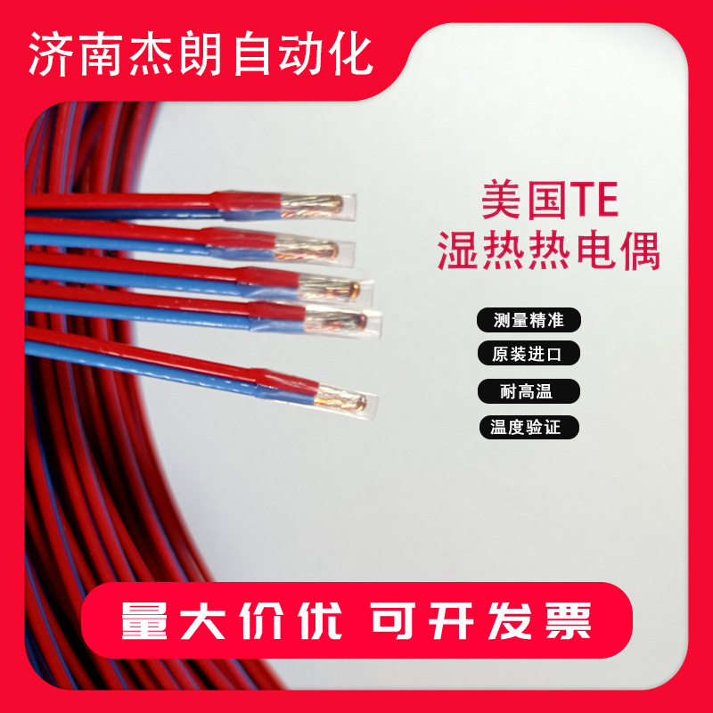 热电偶传感器美国TE适用于KAYE湿热探头温度验证AL-7ST1WY-40