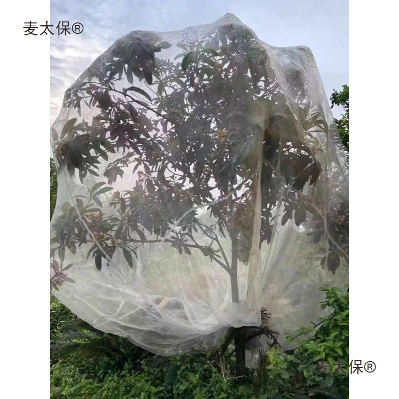 杨梅网罩莲雾蓝莓网果树防虫网防鸟用网樱桃网罗幔蚊帐蔬菜麦太保