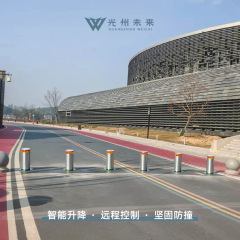 全自动升降柱304不锈钢防撞柱远程遥控学校挡车防撞B1液压升降柱