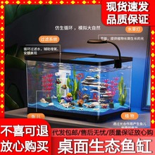 2025新款桌面鱼缸小型造景全套生态透明家用客厅鱼缸底滤宠物用品