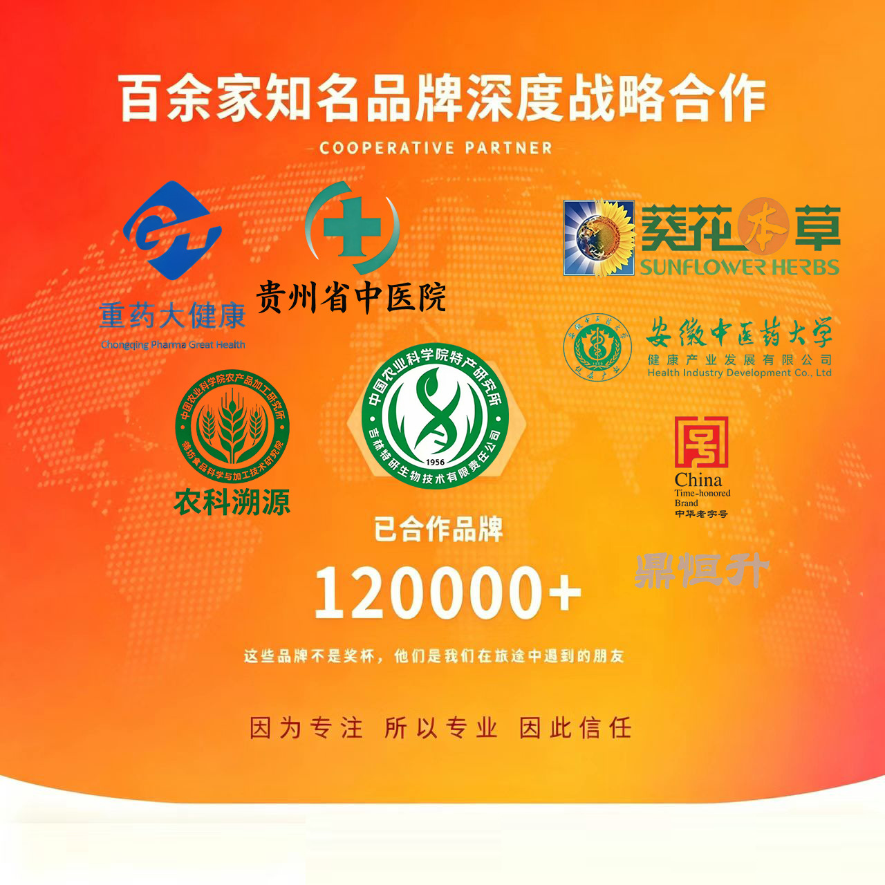 Sesame Walnut Black Bean Powder Hei Zhi Ma Hu Tao Hei Dou Fen Instant Breakfast Meal Replacement Drink Mix in use