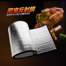 �ӟ�|����Ĥ���x������B������،m����֩����o�W�^�r�B������