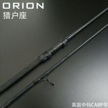 �{��˹ ORION�C����Ӣ���ЙnCARP�hͶ����ី�·����2��