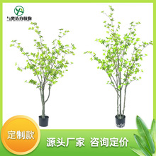 �c�W�F؛������R�~���Է���ֲ��ٻ��Gֲ�҃��b[�O�S��ֱ�N