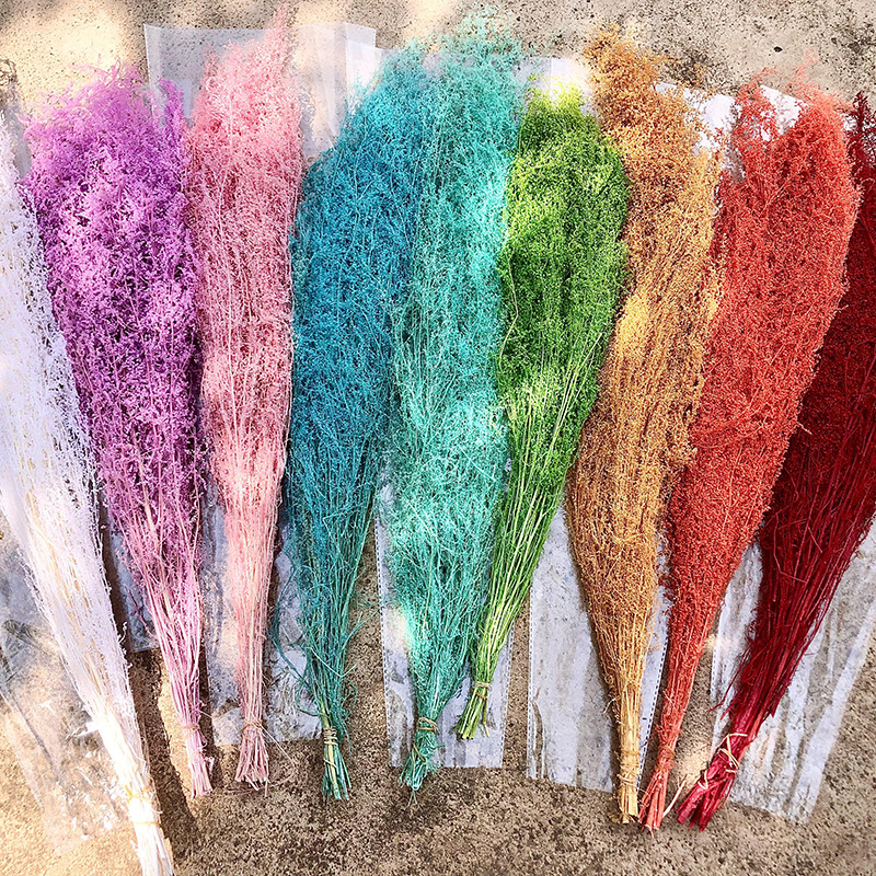 Yunnan Artemisia everlasting flower dried flower photography props…