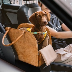 2025年ホットモデルデュポン紙アウトドアポータブルファッショナブルなペット犬猫用外出バッグ通気性のあるカーバッグ