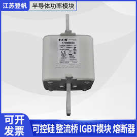170M8650 170M4956  170M5410 170M2620伊顿巴斯曼熔断器保险丝