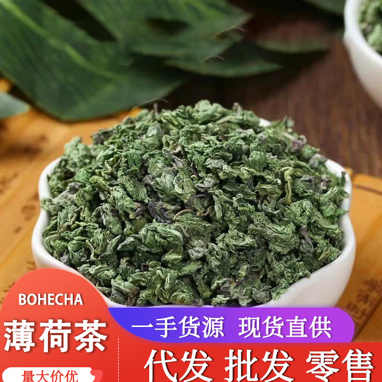 Qiyuantang wholesale mint granular tea bulk new product mint tea color Green dry mint granular tea origin supply Qiyuantang wholesale mint granular tea bulk new product mint tea color Green dry mint granular tea origin supply